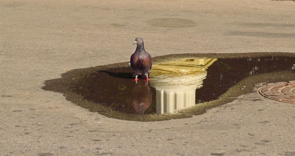 Photograph by Елена Казарина