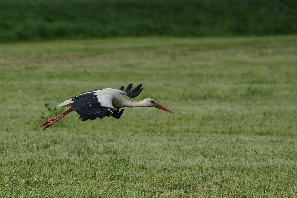 Photograph by Сергей Пидронов