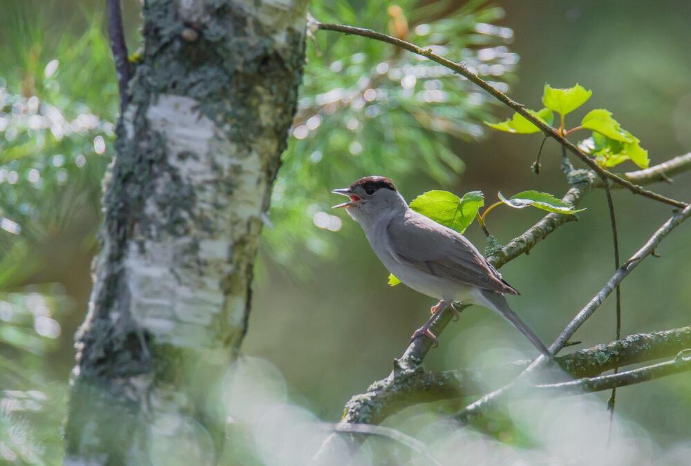 Photograph by Сергей Пидронов