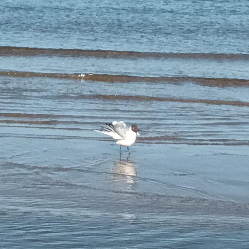 Фотография автора Maks Lanister