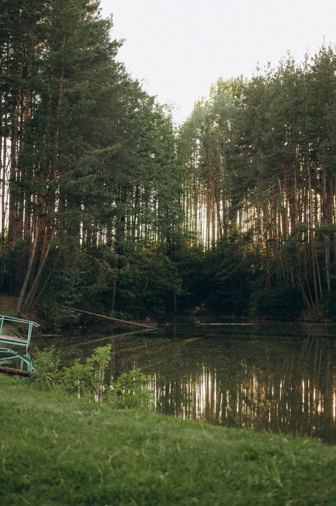 Photograph by Светлана Субботина