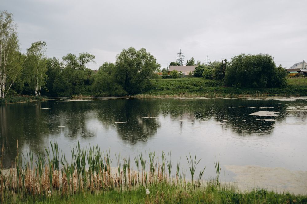 Photograph by Светлана Субботина