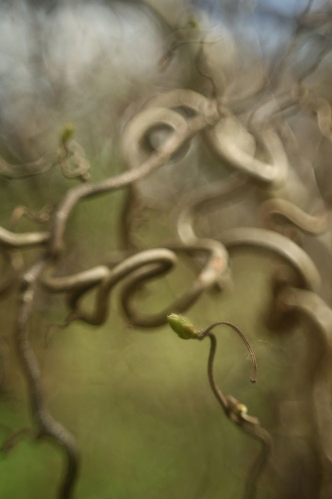 Photograph by Владимир Леликов-Кузьменко