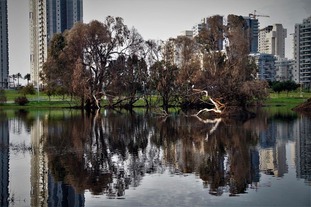 Photograph by Галина Гершман