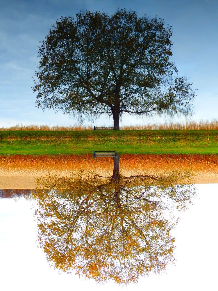 Photograph by Robert Farruggia