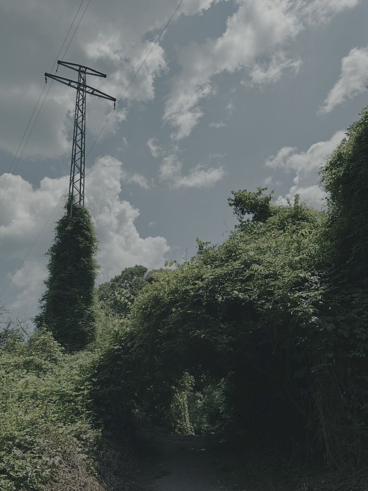 Photograph by Светлана Ионова