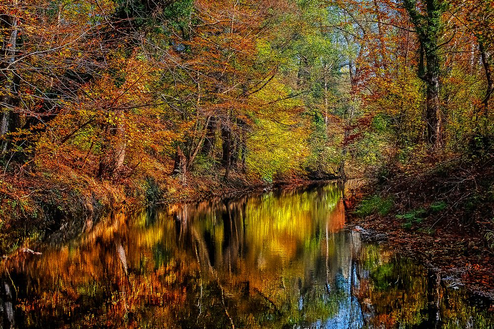 Photograph by Юрий Левко