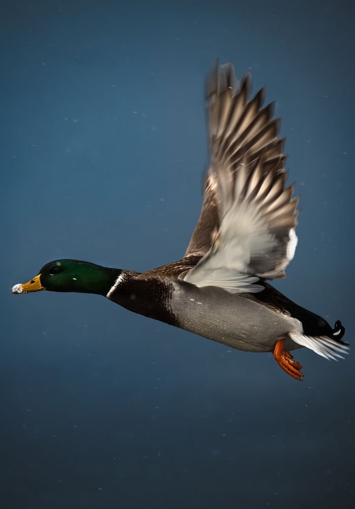 Photograph by Мария Ирешева