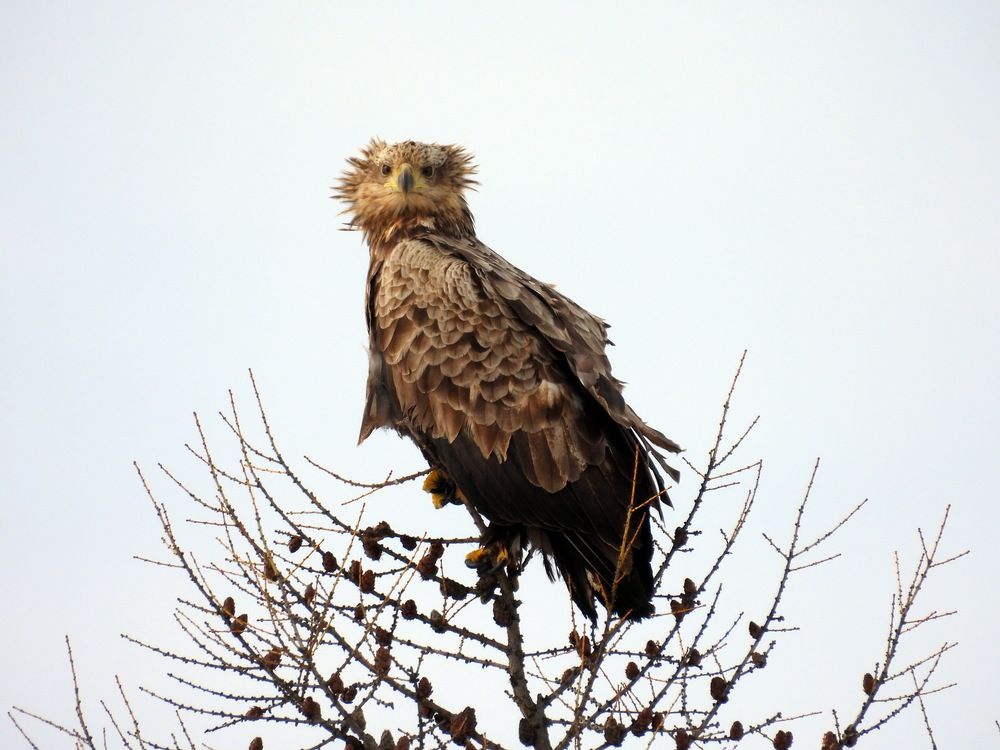Фотография автора Мария Черница