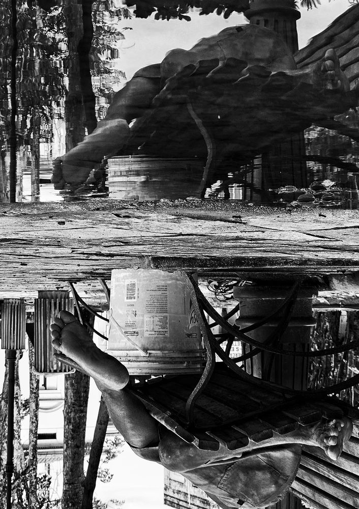 Фотография автора Diogo Thompson Ribeiro