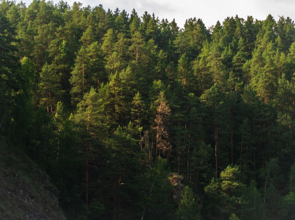 Photo #12298657