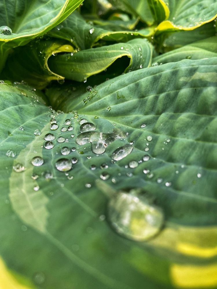 Photograph by Наталия Орехова