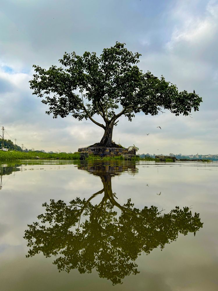 Фотография автора Jayesh Rajput