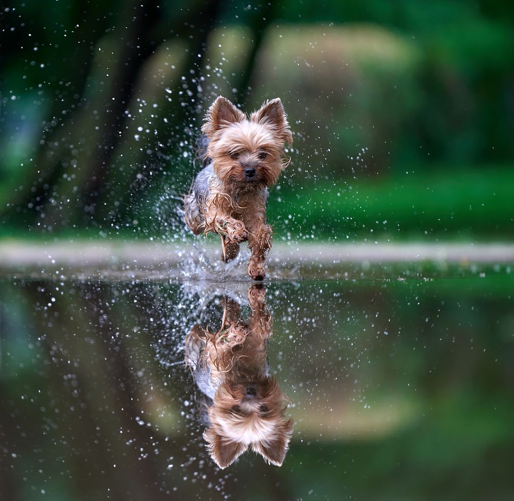 Photograph by Андрей Некрашевич