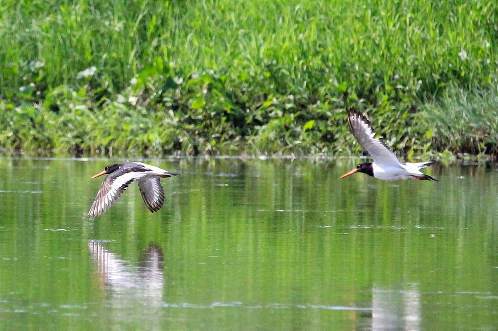 Фотография автора Ser P