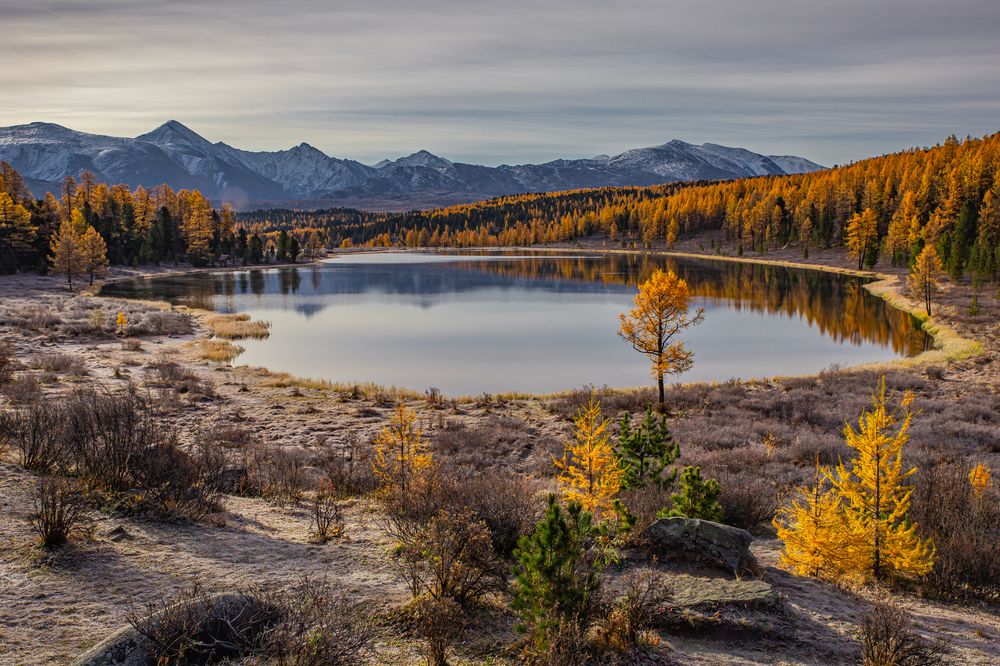 Photograph by Елена Павлова