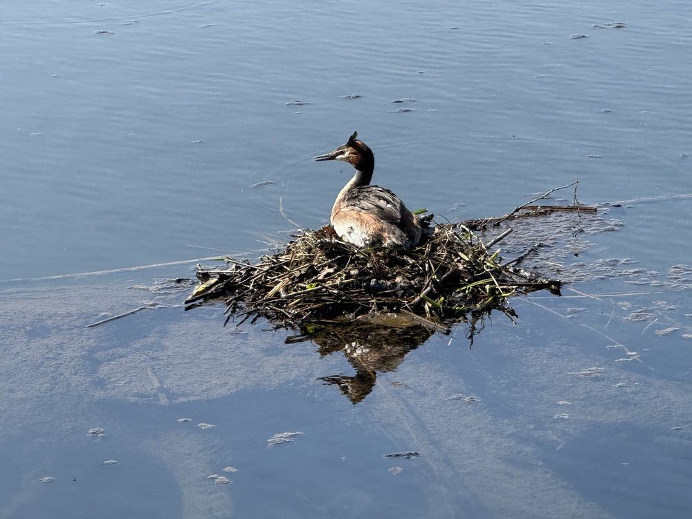 Photograph by Марина Дикманн