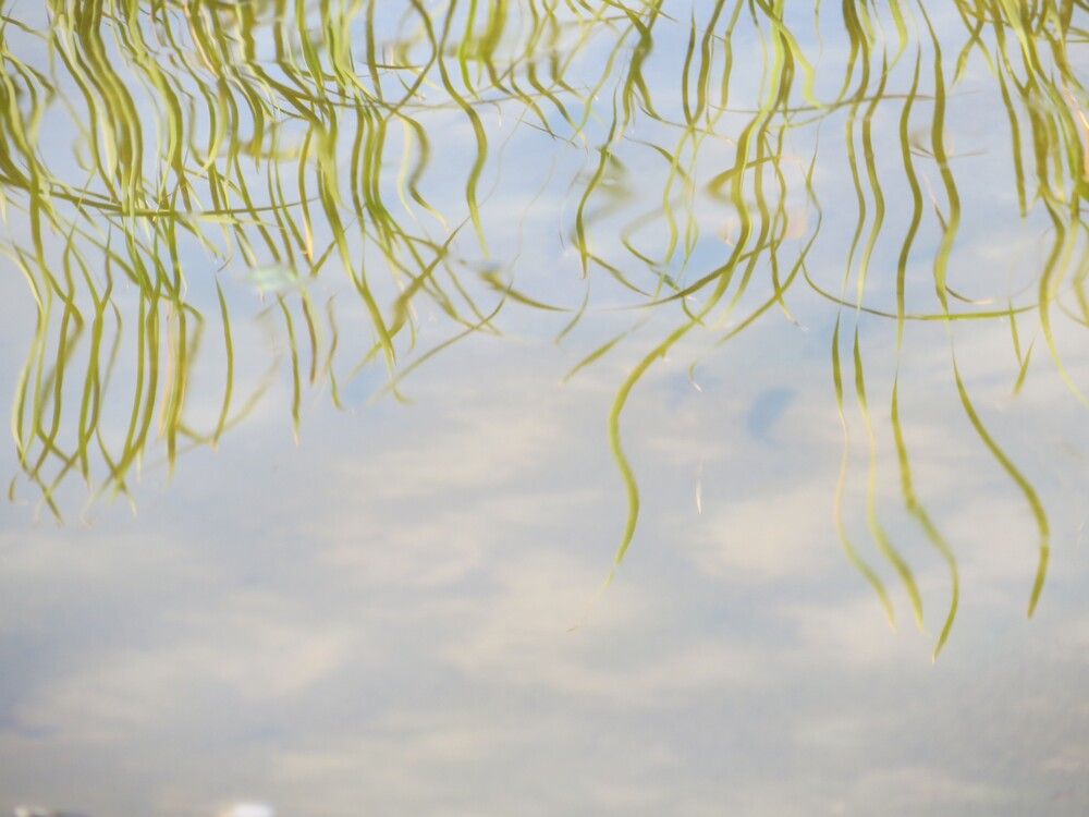 Photograph by Татьяна Поминова