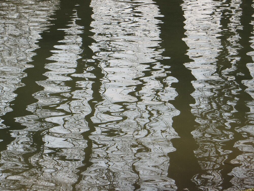 Photograph by Татьяна Поминова