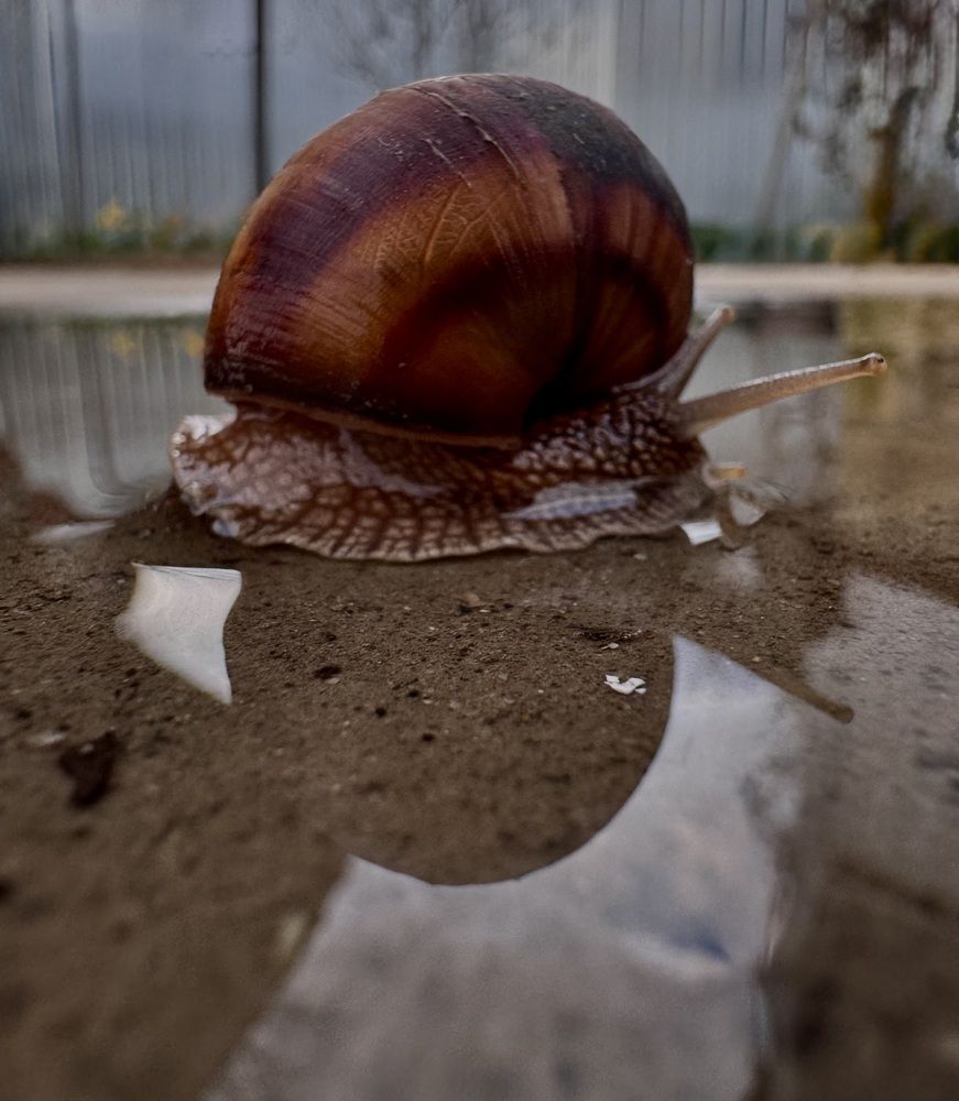 Photograph by Бойкова Наталия