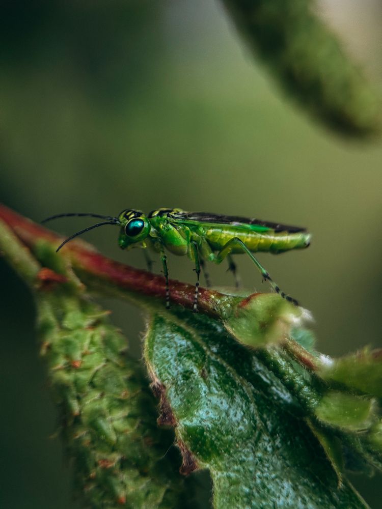 Photograph by Алиса Нежинская