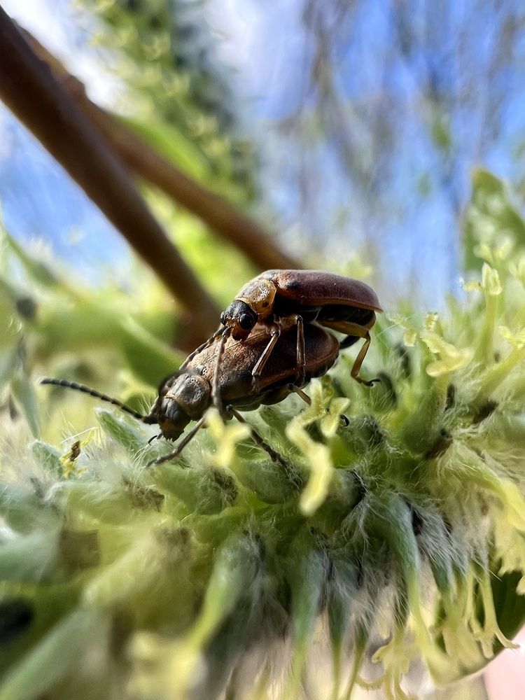 Photograph by Александра Акси
