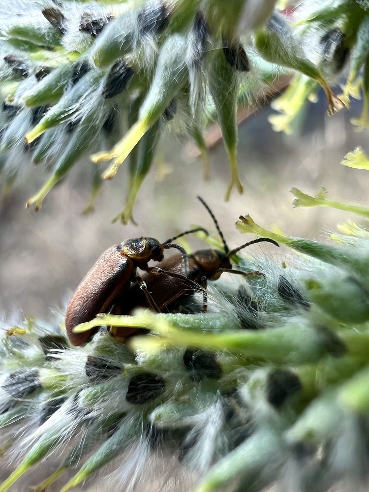 Photograph by Александра Акси