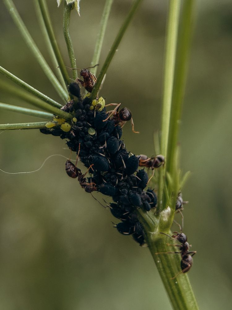 Photograph by Алиса Нежинская