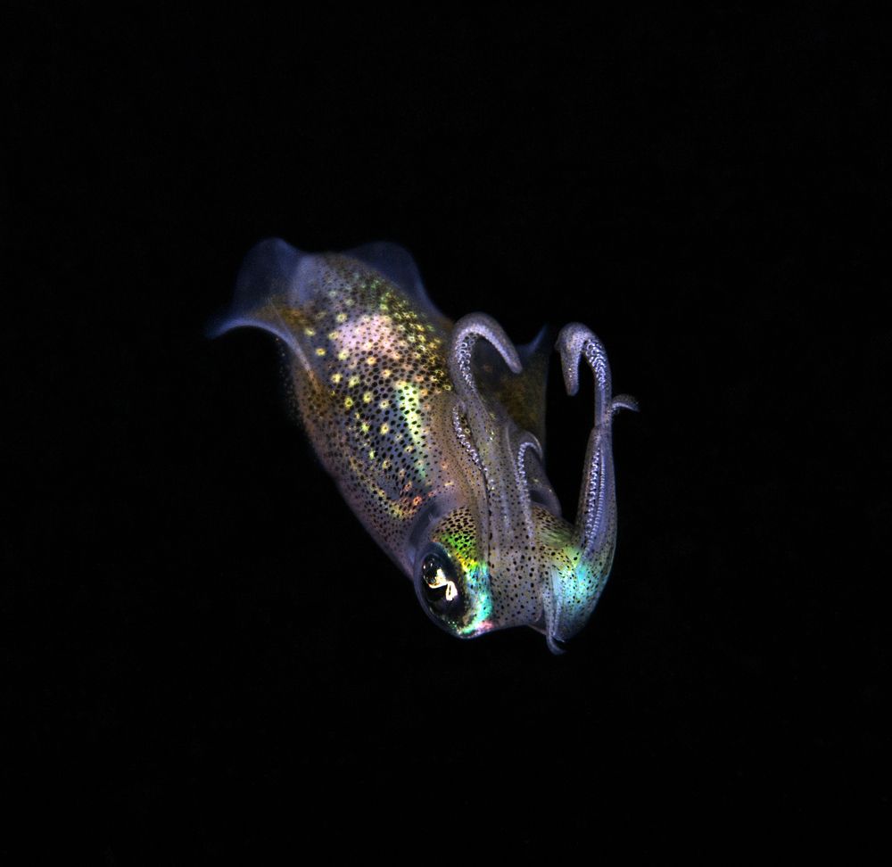 Photograph by Vladislav Klimin