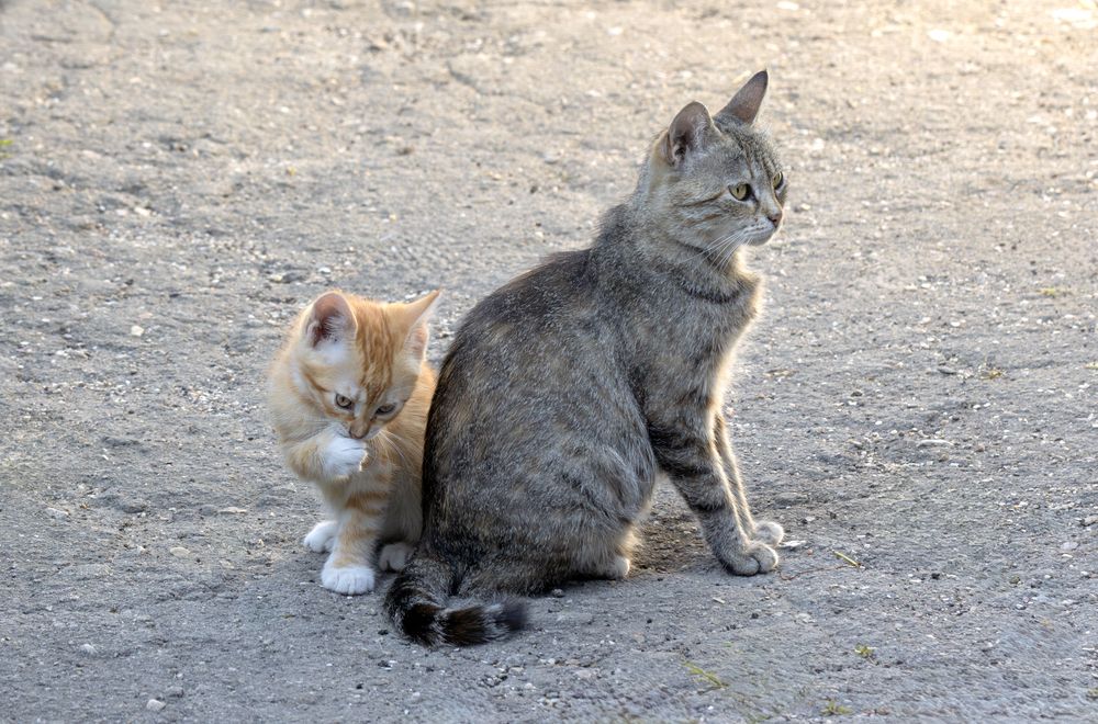 Photograph by Басыров Валерий