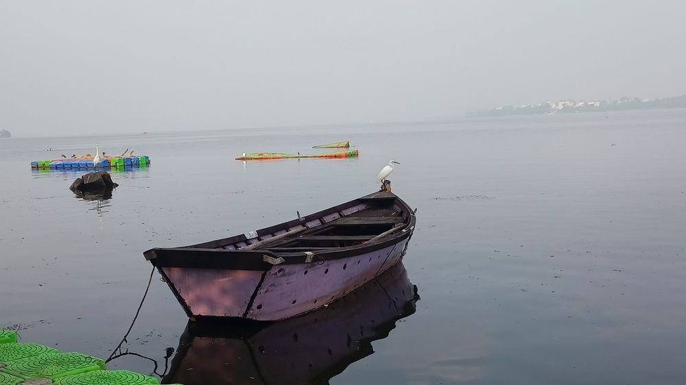 Photograph by Rubina Hasan