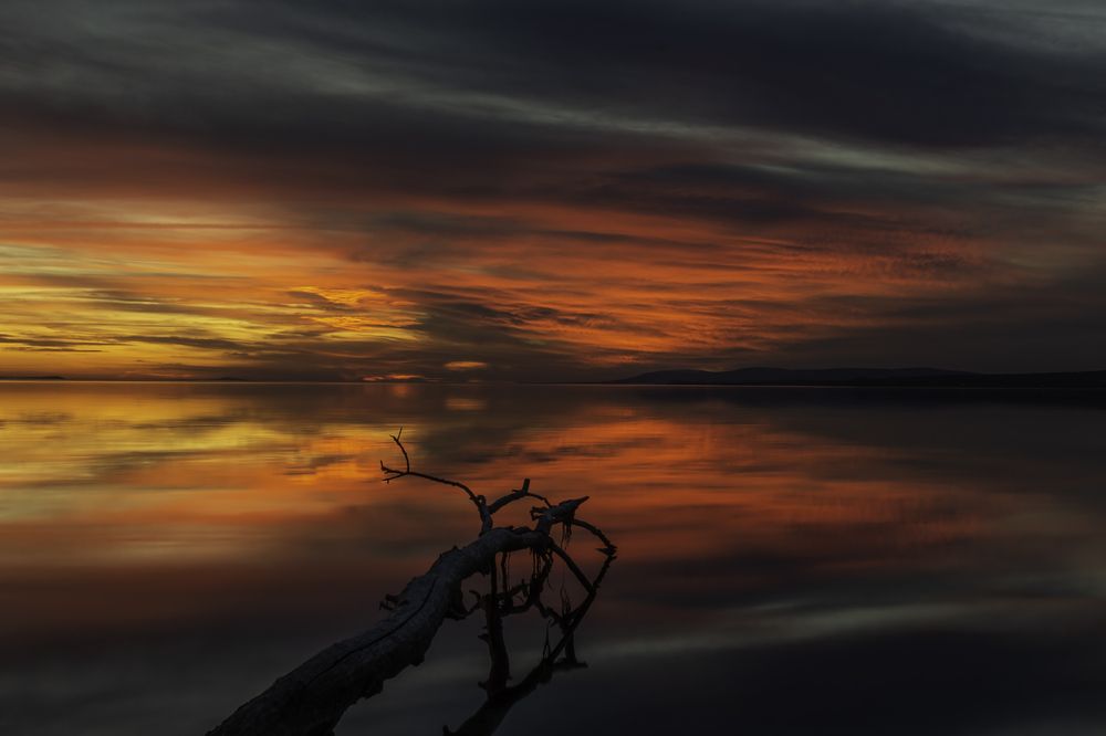 Photograph by Zoltan Gelencser