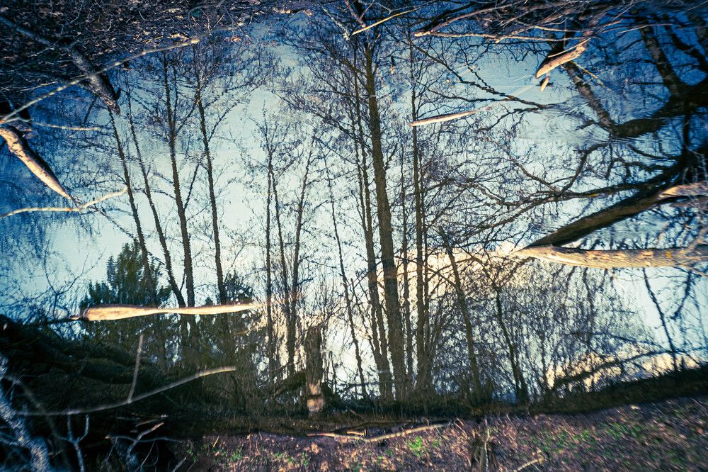 Photograph by Альберт Габбасов