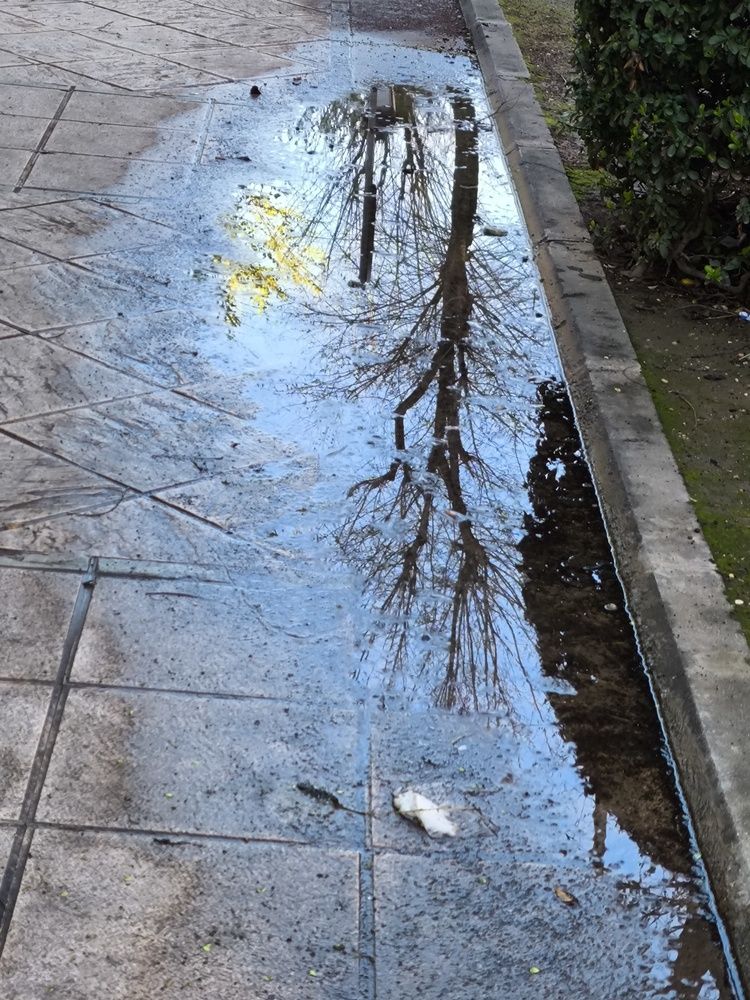 Photograph by Pastor Mª Ivonne