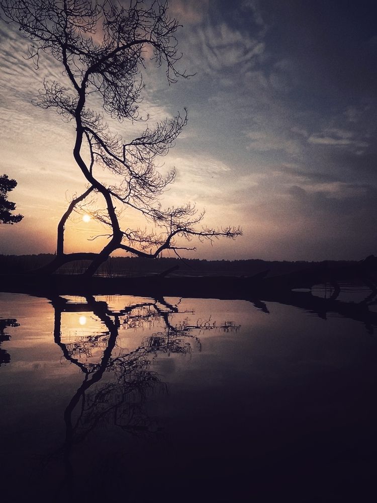 Photograph by Светлана Масютина