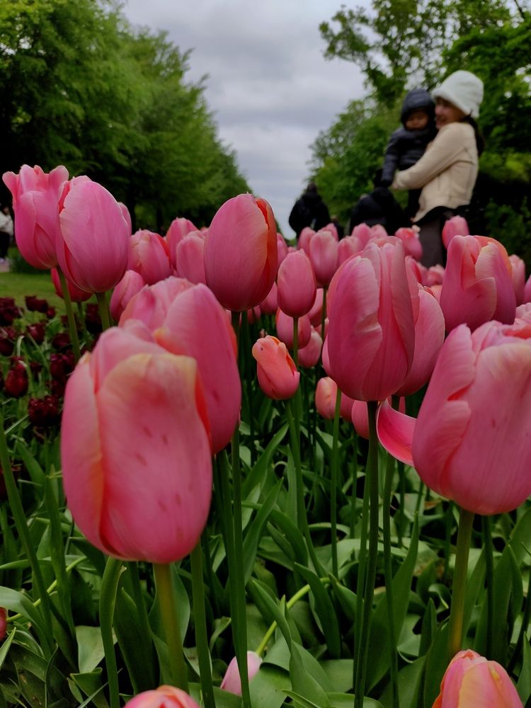 Photograph by Marina Podlesnaya