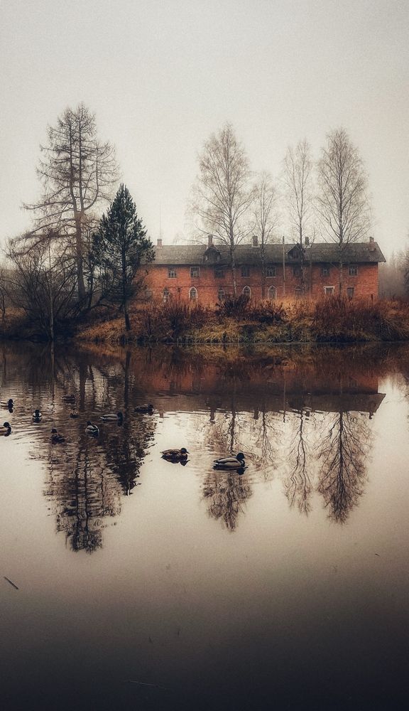 Photograph by Светлана Масютина