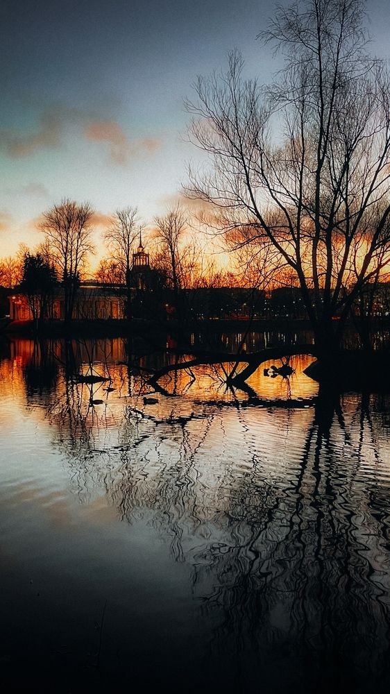 Photograph by Светлана Масютина