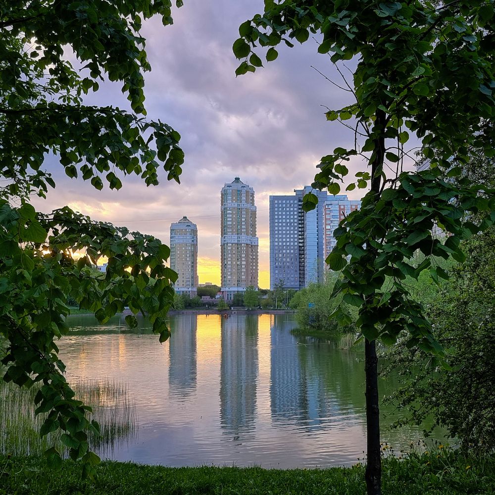 Фотография автора Светлана Алексеева