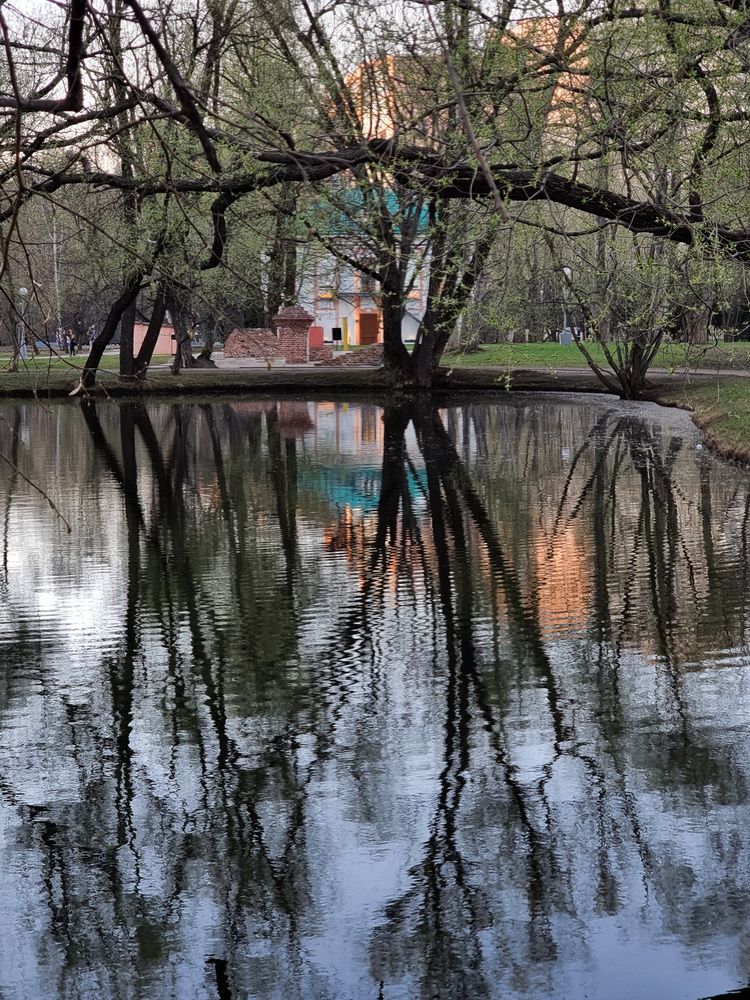 Фотография автора Светлана Алексеева