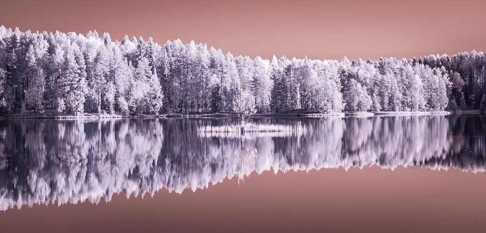 Photograph by Смирнов Валерий