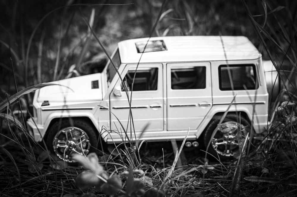 Photograph by Елена Фатьянова