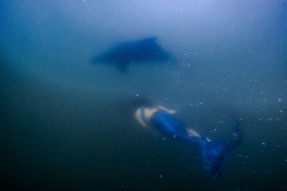 Photograph by Junya Higashi