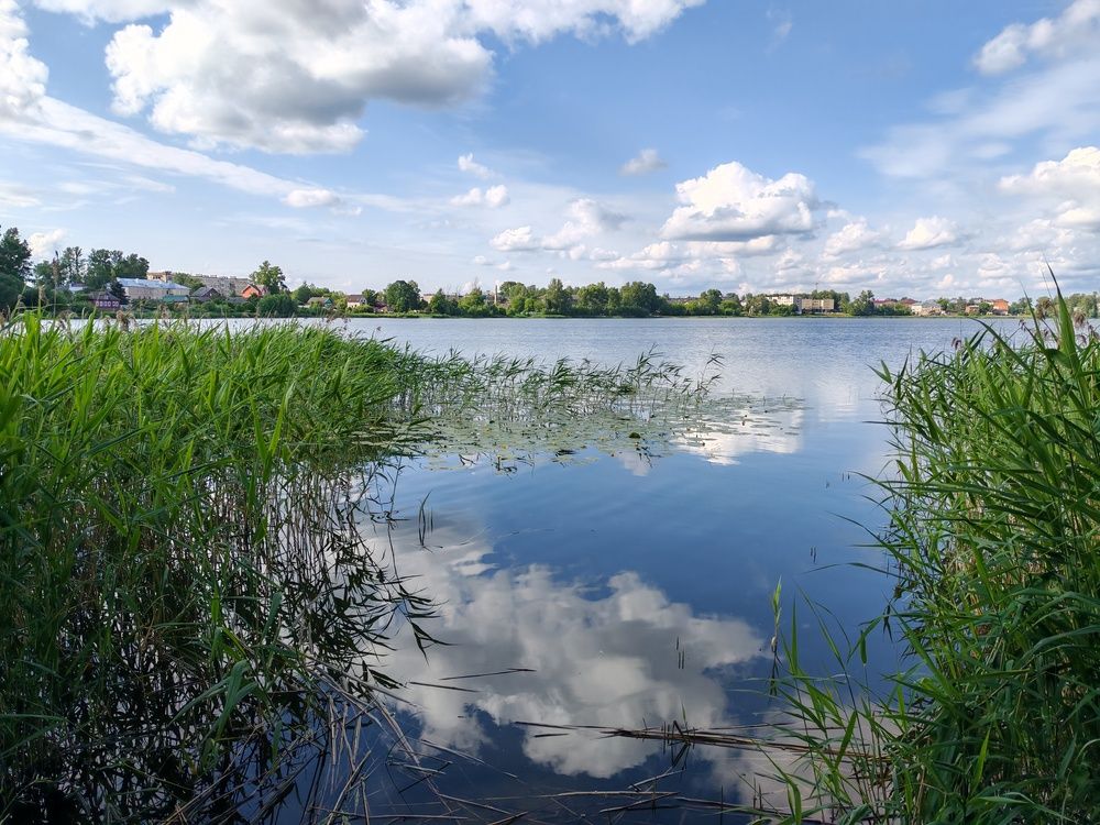 Photograph by Светлана Васильева