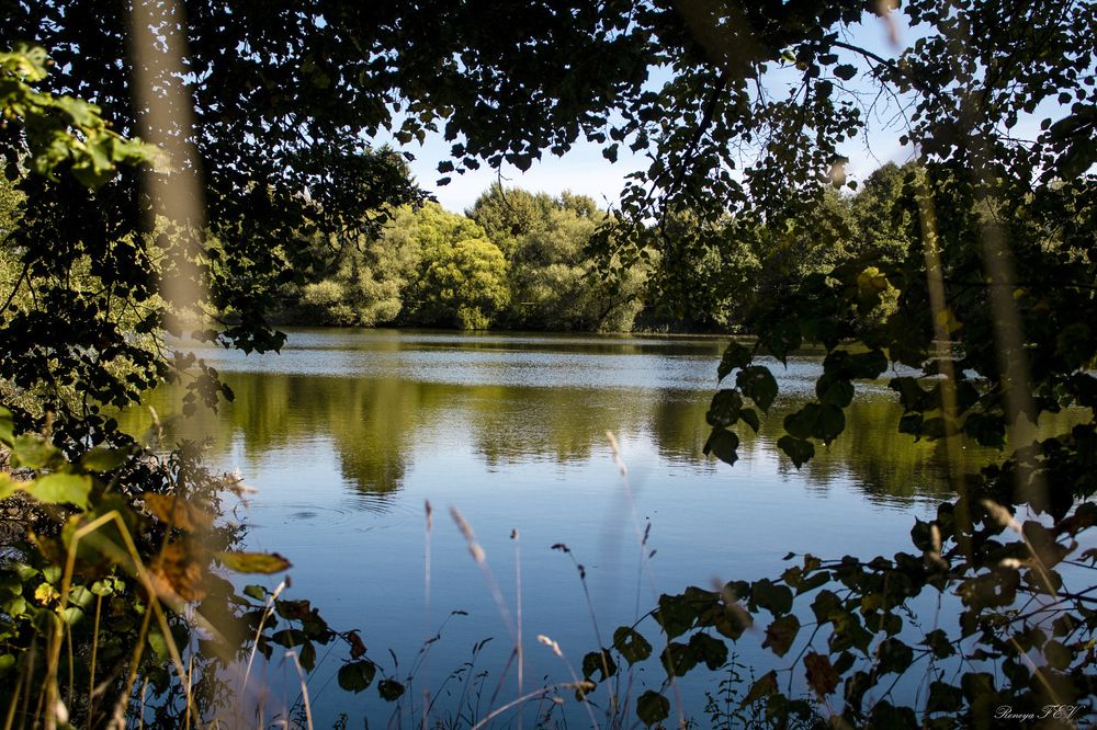 Photograph by Елена Фатьянова