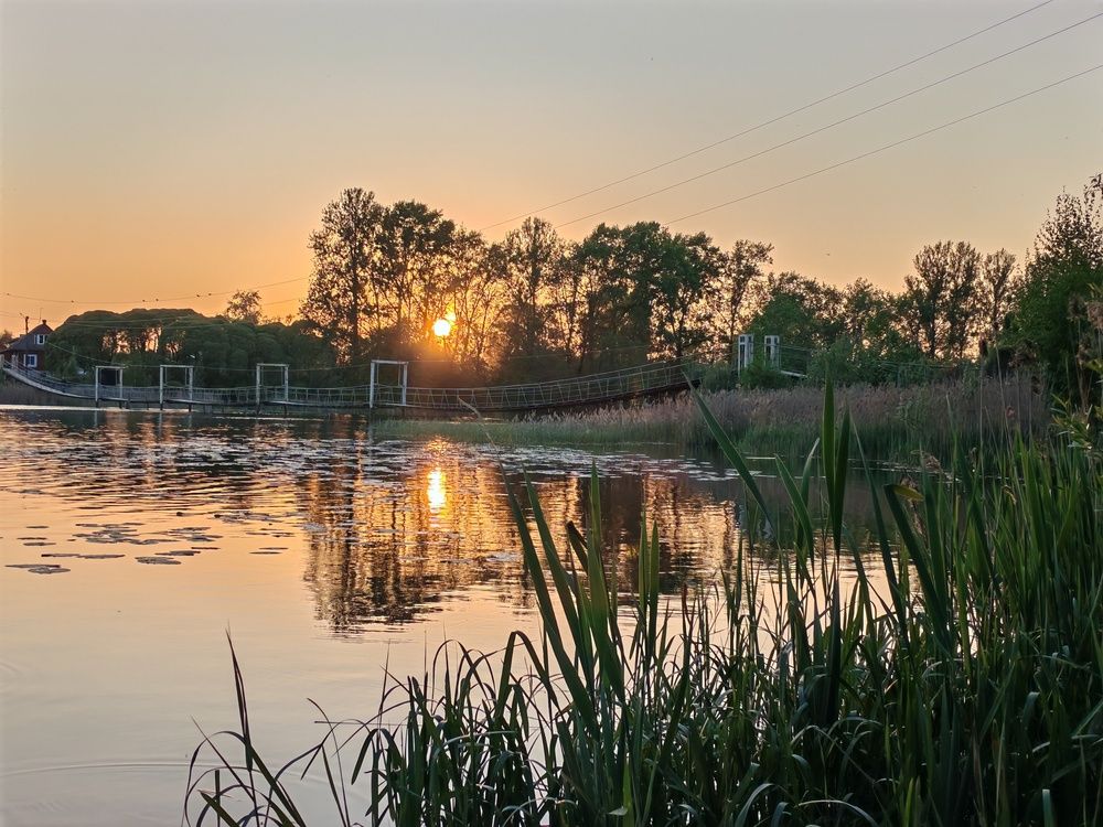 Photograph by Светлана Васильева