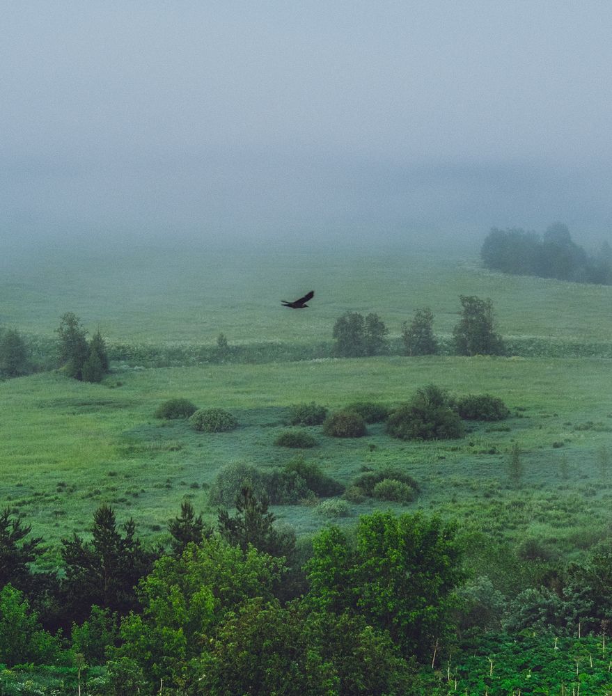 Photograph by Анатолий Вахрушев