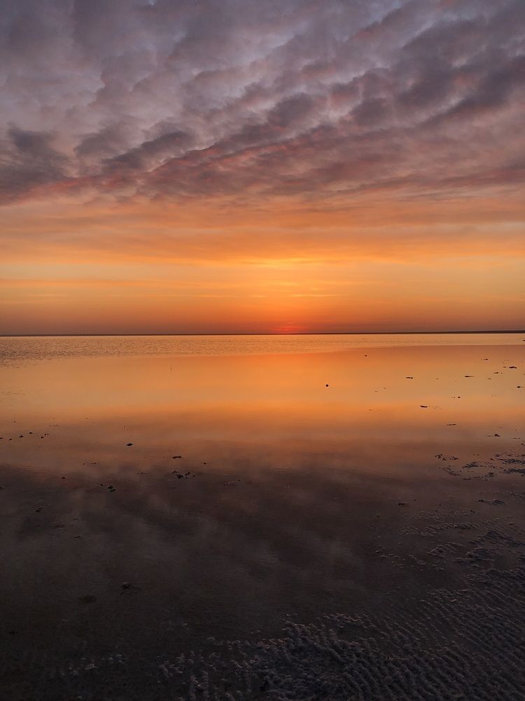 Photograph by Светлана Смук