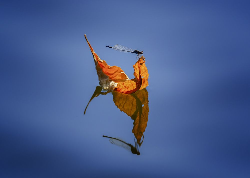 Photograph by Natalia Bolotenkova