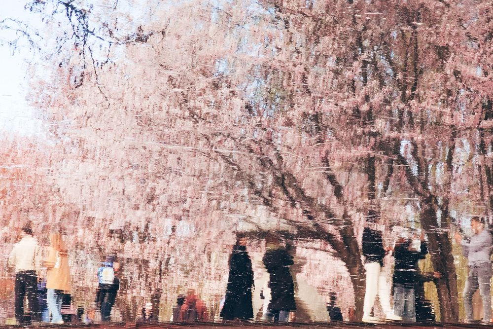 Photograph by Ivan Vetoshkin